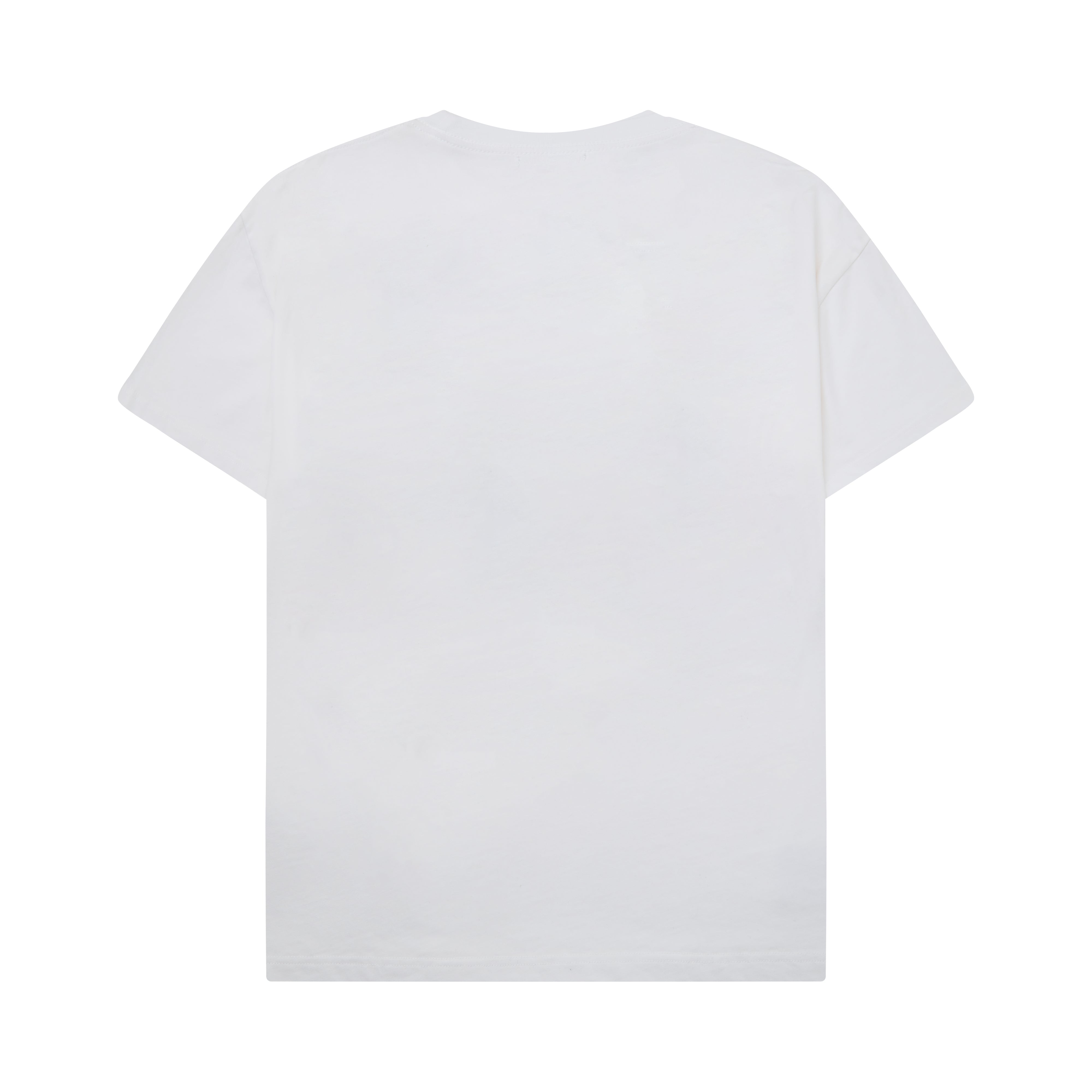 Back view of a CAMPUS Plain white t-shirt on a white background