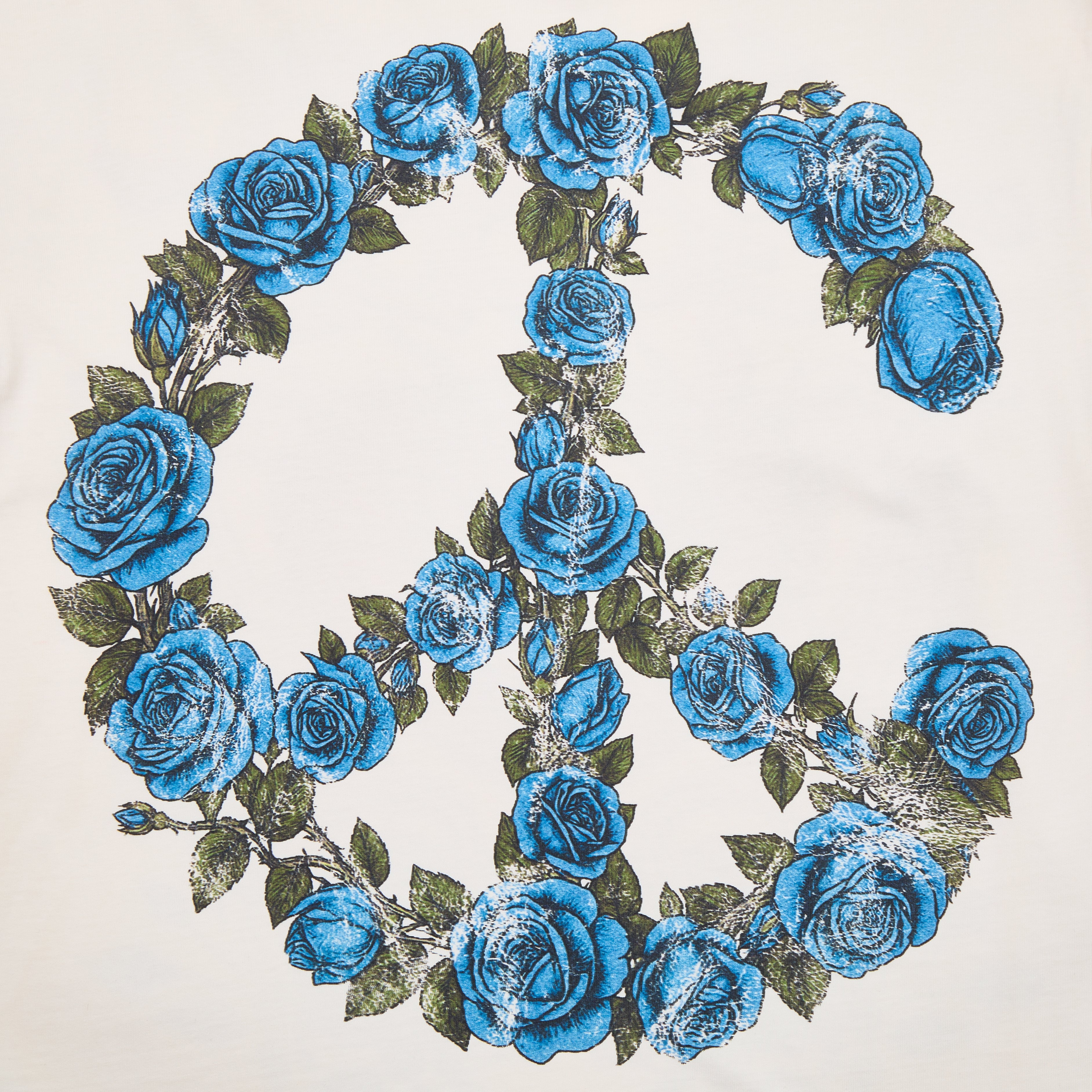Peace symbol made of blue roses on a white background
