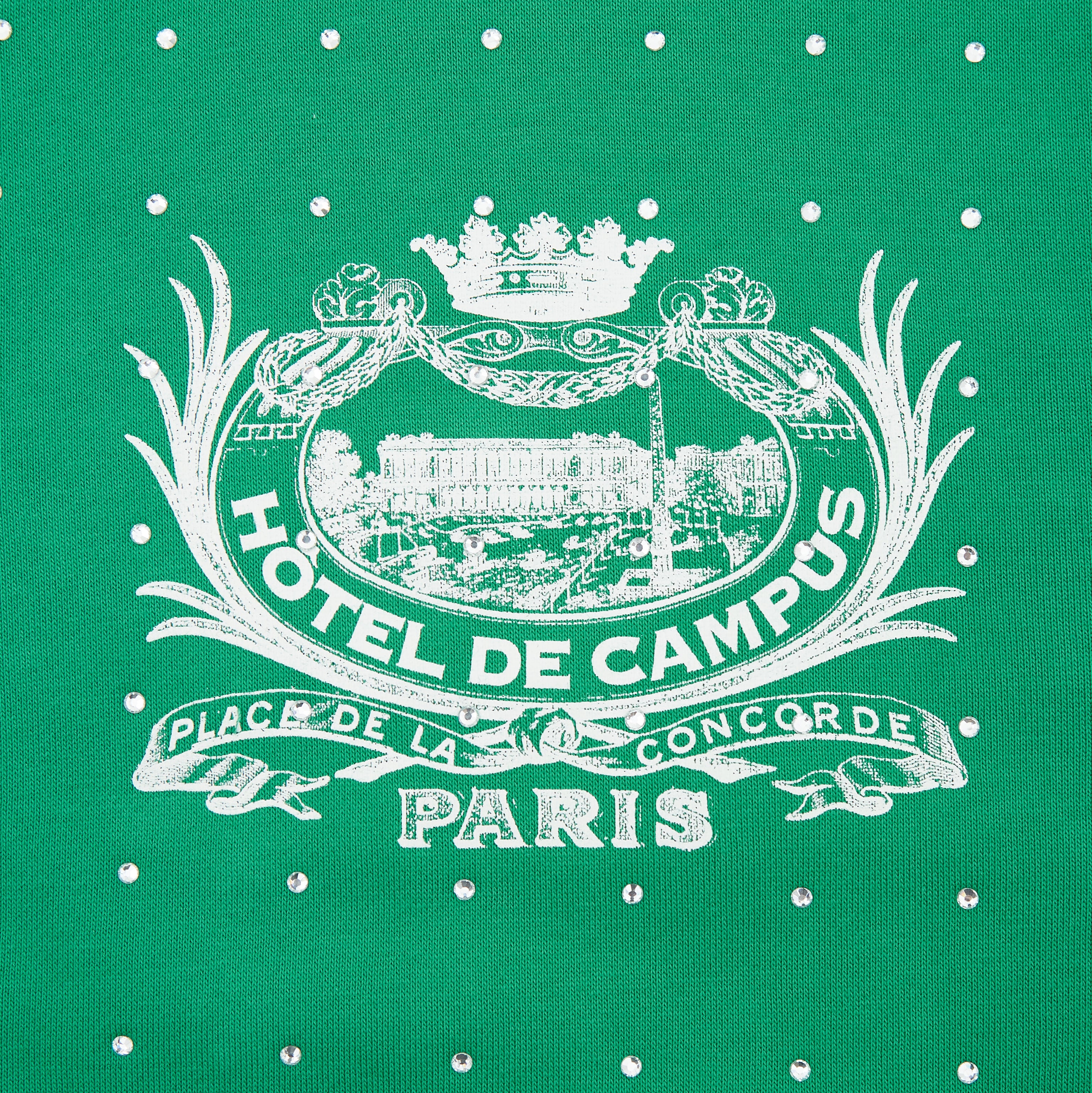 Louvre Zip Up Hoodie (Sun Fade Wash Green)