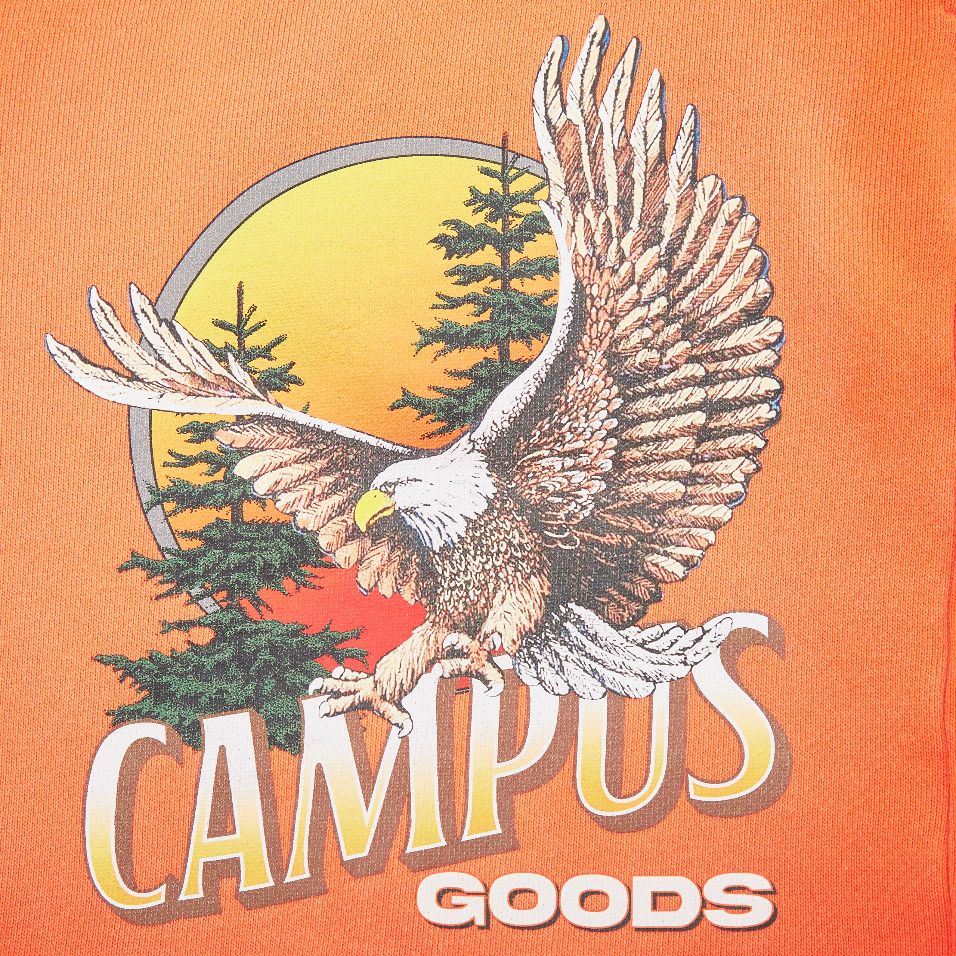 Highway Terry Shorts