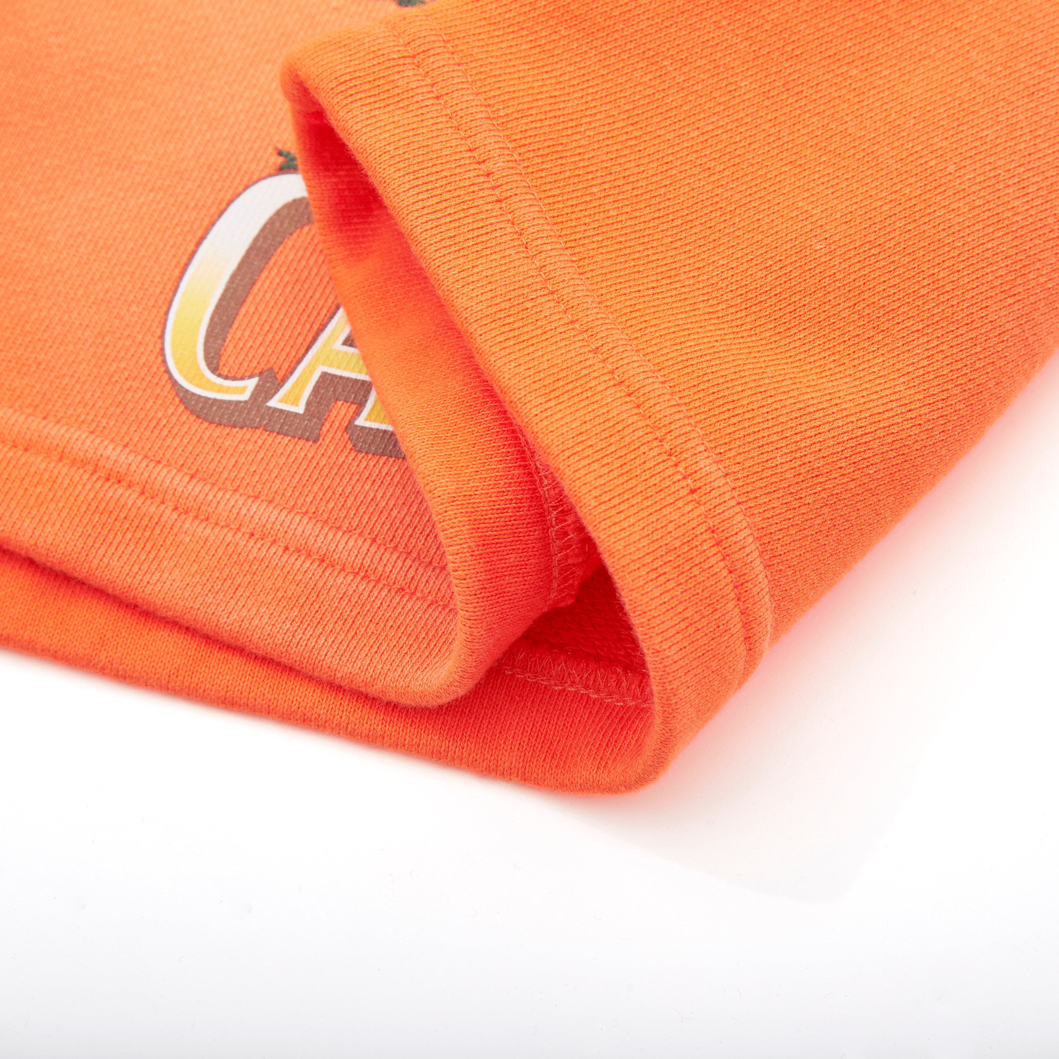 Highway Terry Shorts