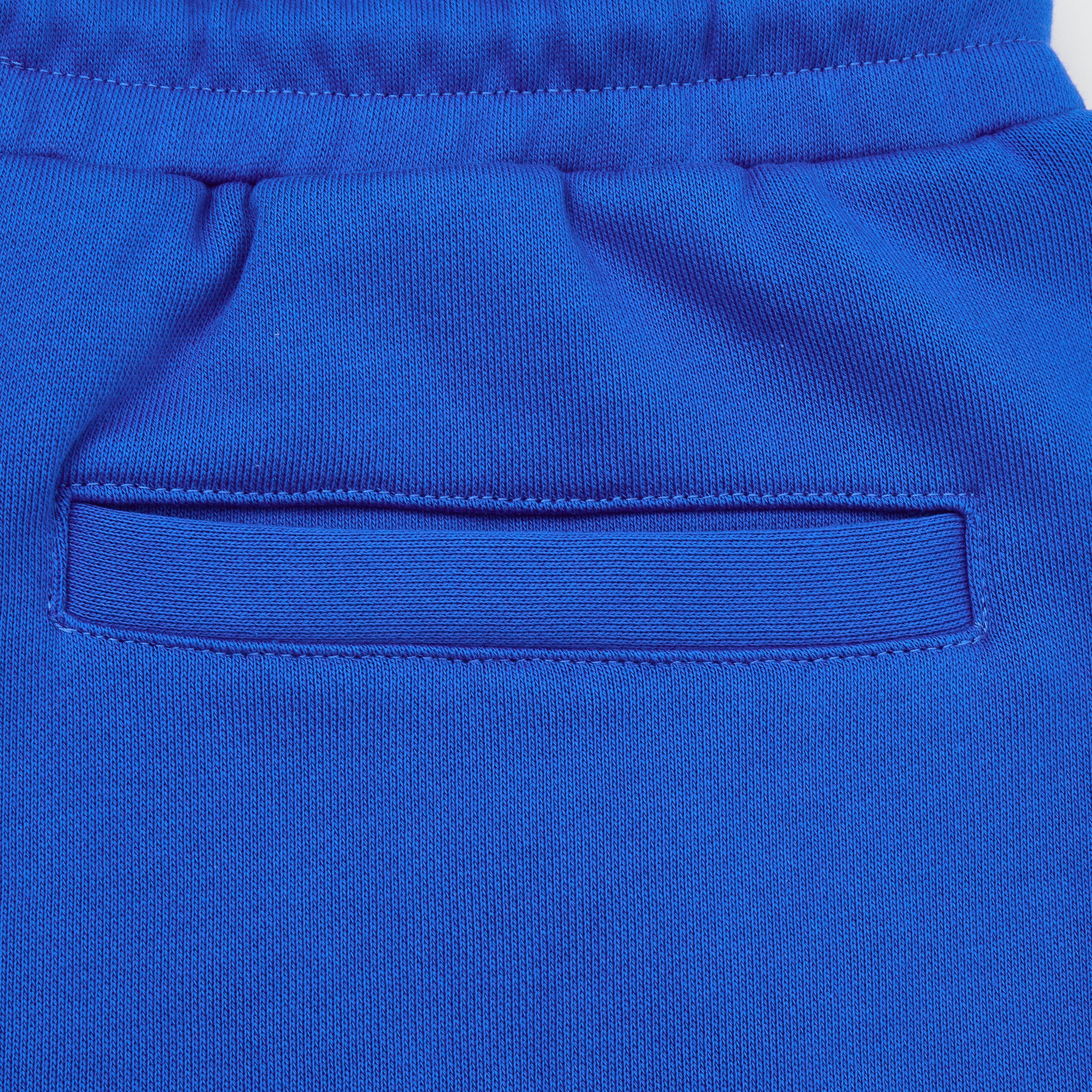 Flyer Sweat Shorts - Blue