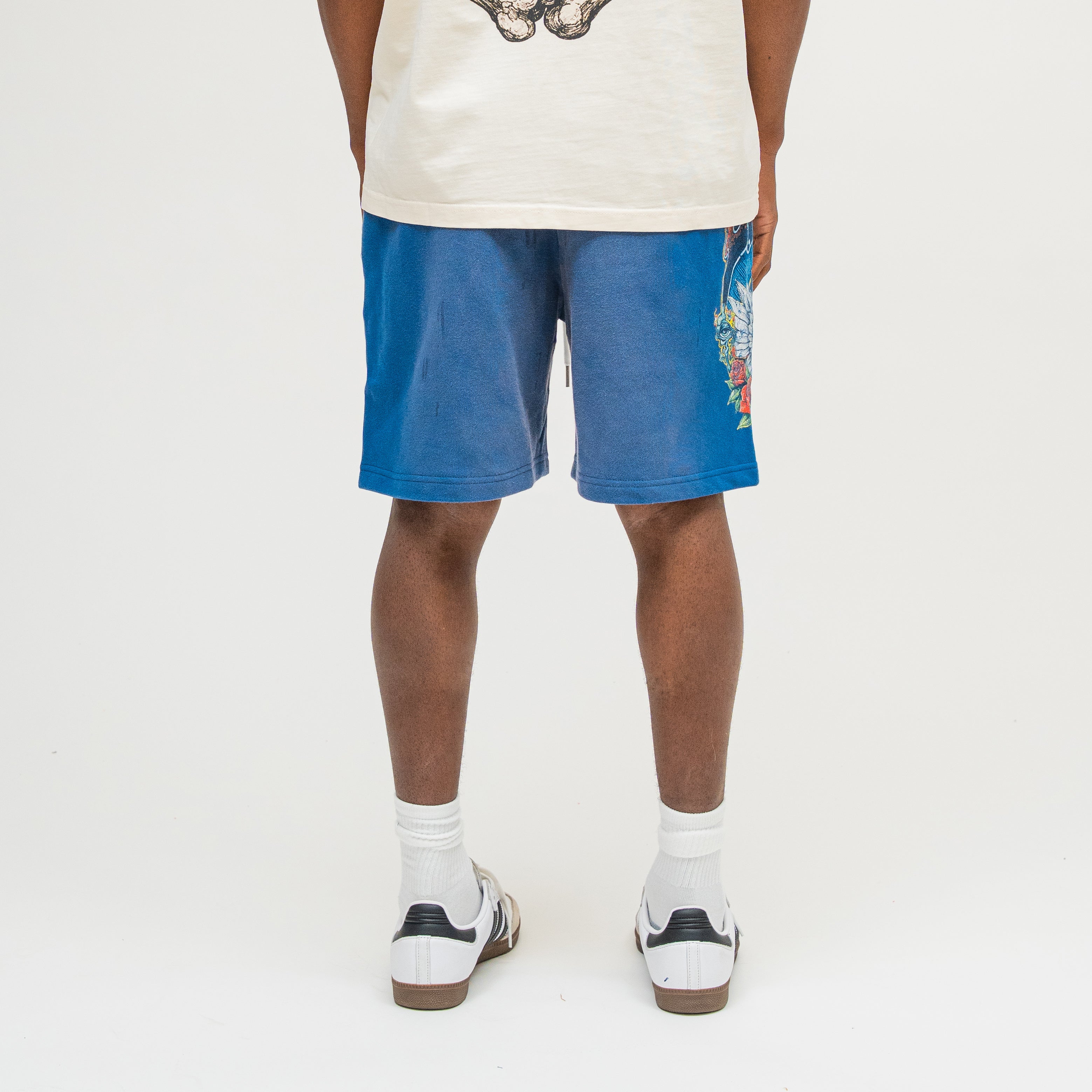 Psychedelic Terry Shorts in Sun Fade Blue, back view